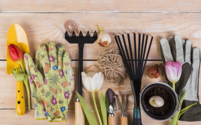 Refresh Your Outdoors with Gardening Essentials